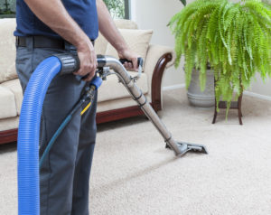 Clean carpets before renting