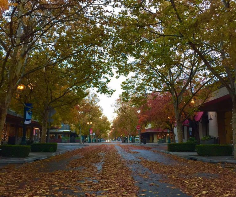 Turlock Property Management Real Property Management Valley Wide