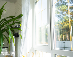 Sunlit clean windows, green house plant, and white furniture.