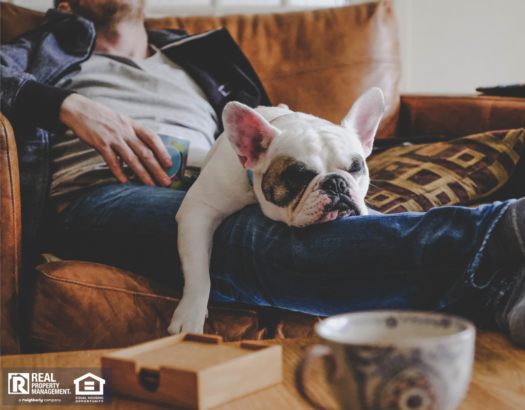 Northridge Tenant Spending a Lazy Afternoon with Their Dog