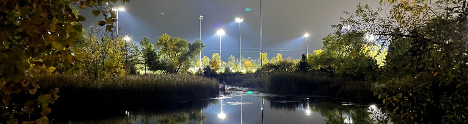 Local introductory image welcoming visitors to Real Property Management Chicago Group