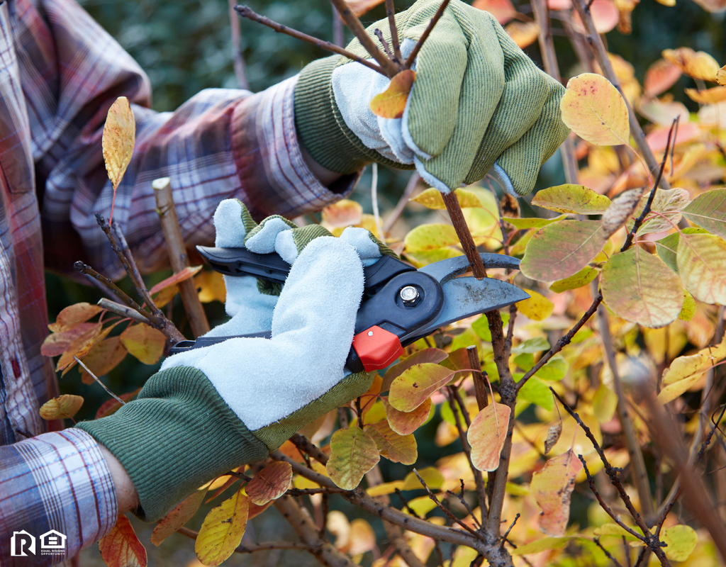 Rigby Fall Bush Being Pruned