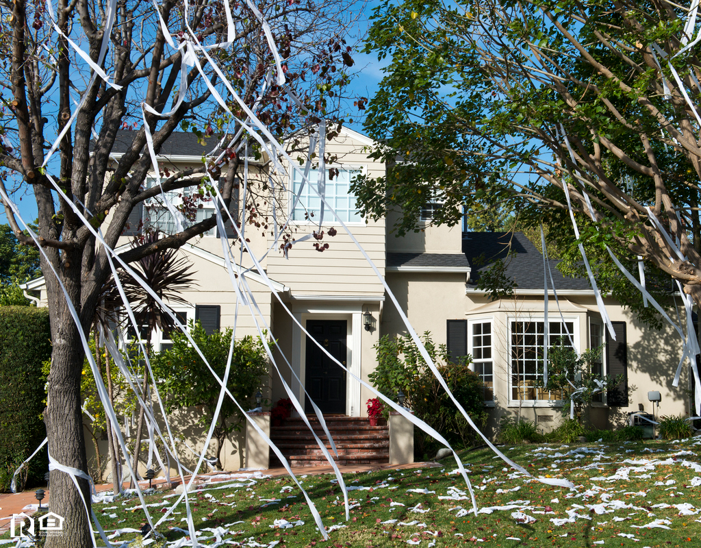 Idaho Falls Rental Property with Toilet Paper in the Trees