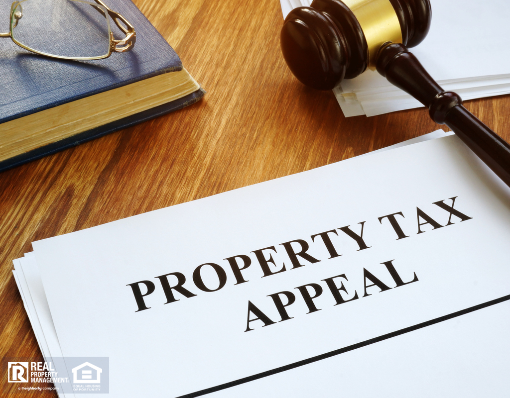 Rigby Property Tax Appeal on a Desk with a Gavel