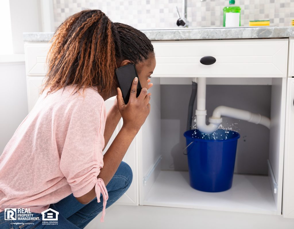 Decatur Woman Calling Landlord About a Leak