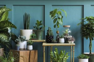 Summerville living room filled with a beautiful indoor garden 