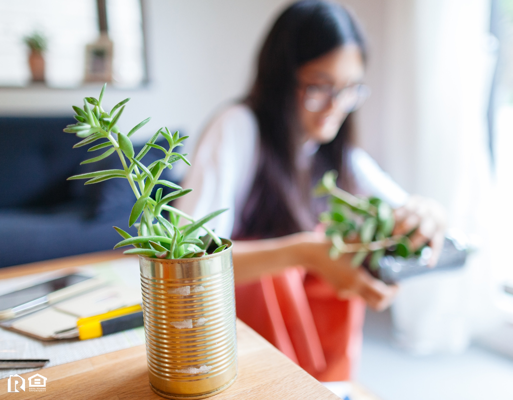 Theodore Woman Repurposing Metal Cans for Planters on her Desk