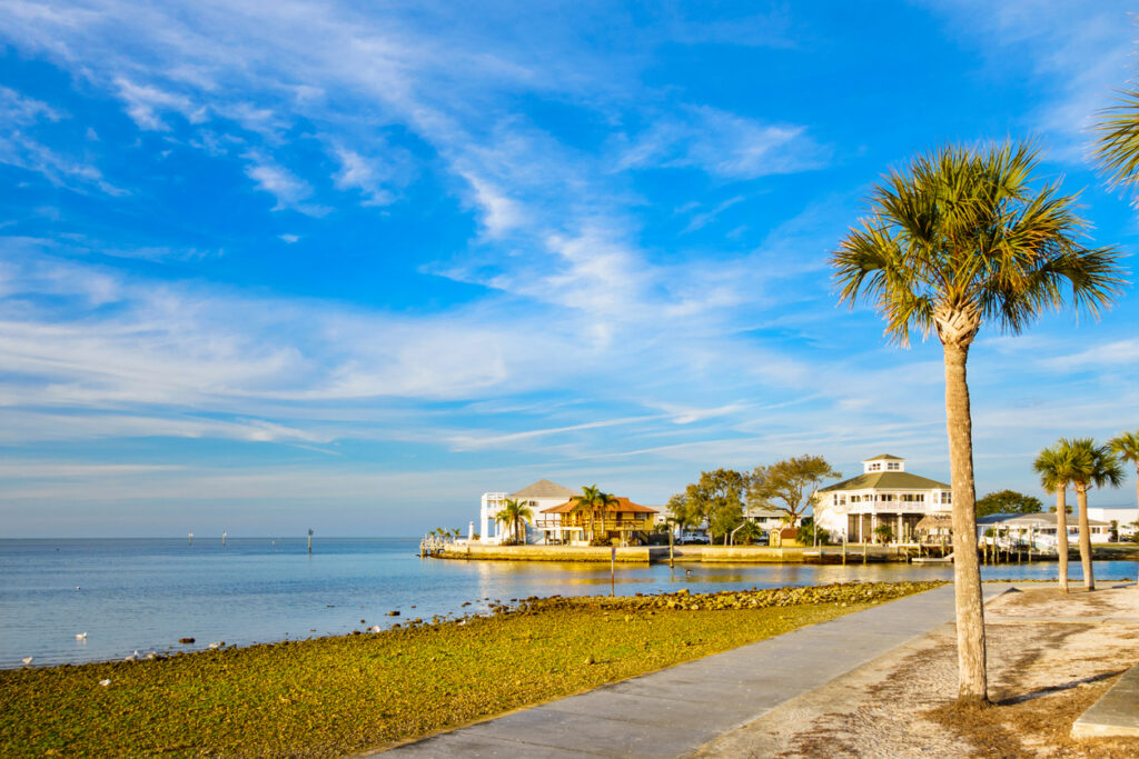Photo of waterfront with palm trees and homes in Hudson, near New Port Richey, Florida, USA.