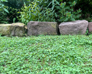 Rocks edging garden