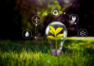 Sustainable Landscaping