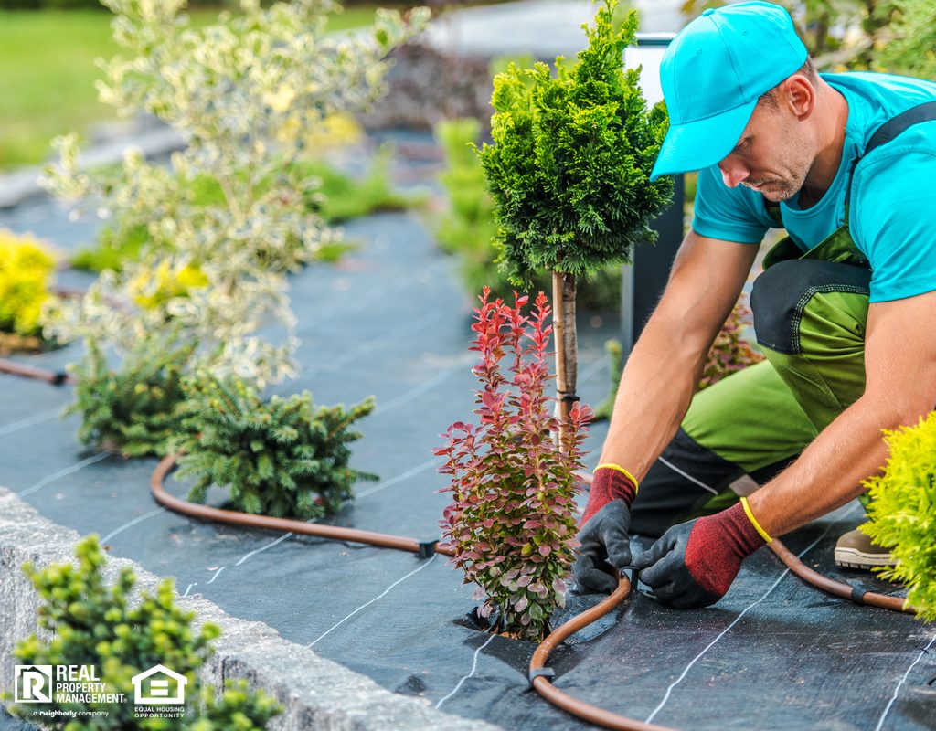 Professional Installing Irrigation System in Xeriscape Garden