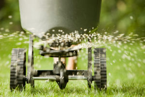 Fertilizer Pellets Spraying onto a Green Lawn