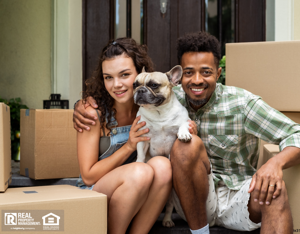 Roxbury Renters Moving in with a French Bulldog