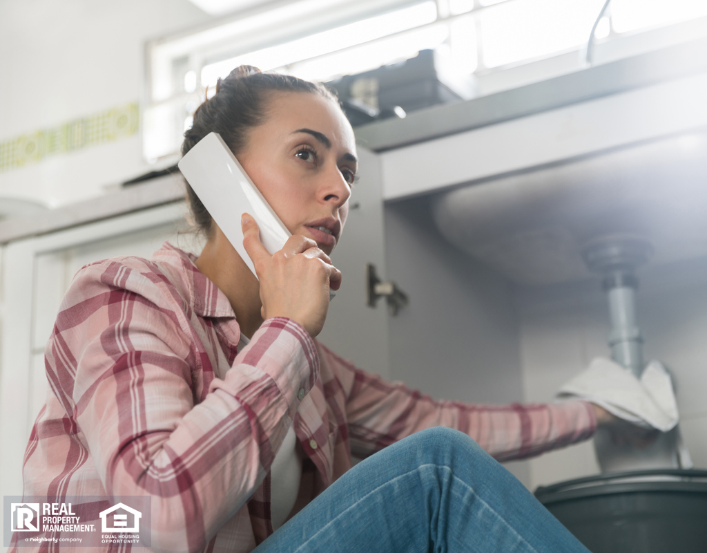 Tenant on the Phone with Gainesville Landlord