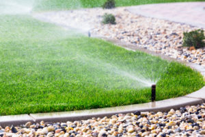 Sprinklers Running in a Bonaire Rental Property's Yard