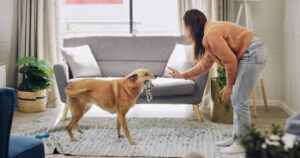 pet deposit