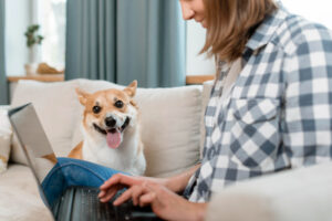 pet deposit