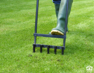 Manually Aerating the Lawn at a Rental Home in Hunters Creek