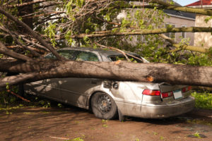 A Resident’s Car Has Been Damaged by a Natural Disaster in Memphis