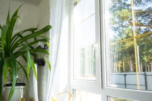 Sunlit clean windows, green house plant, and white furniture.