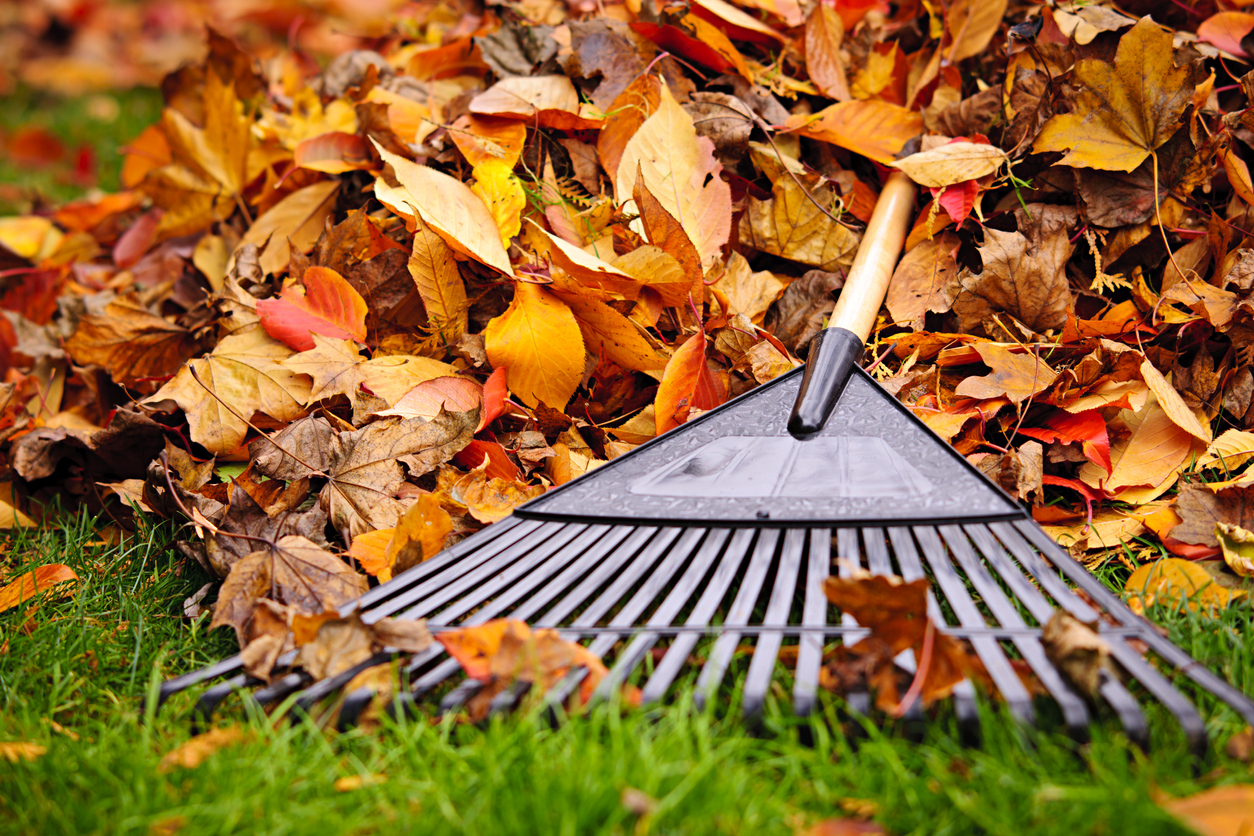 Should Your Lubbock Tenants be Burning Autumn Leaves?