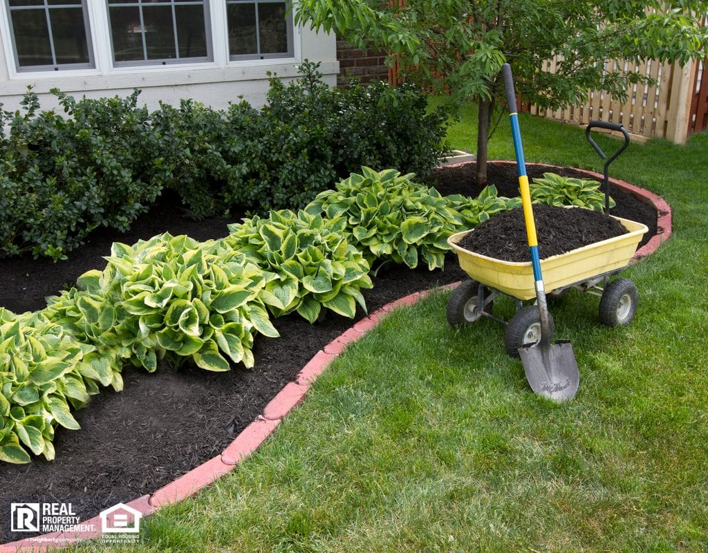 Low-Maintenance Hostas with Mulch in Wolfforth Rental Property Yard