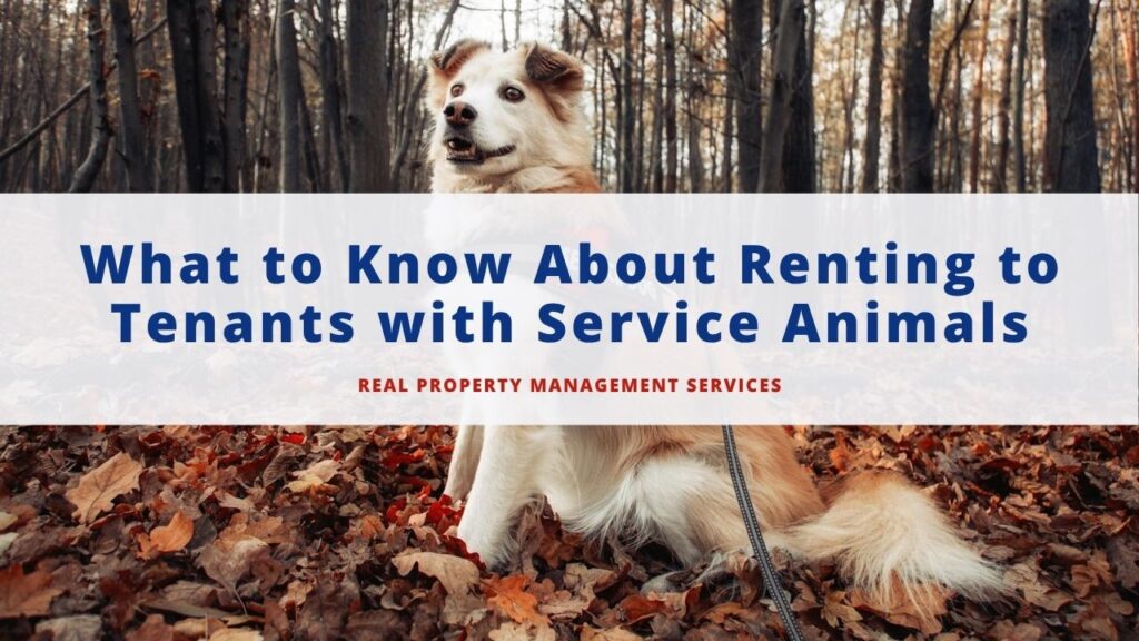 1 / 1 – Real PM Services