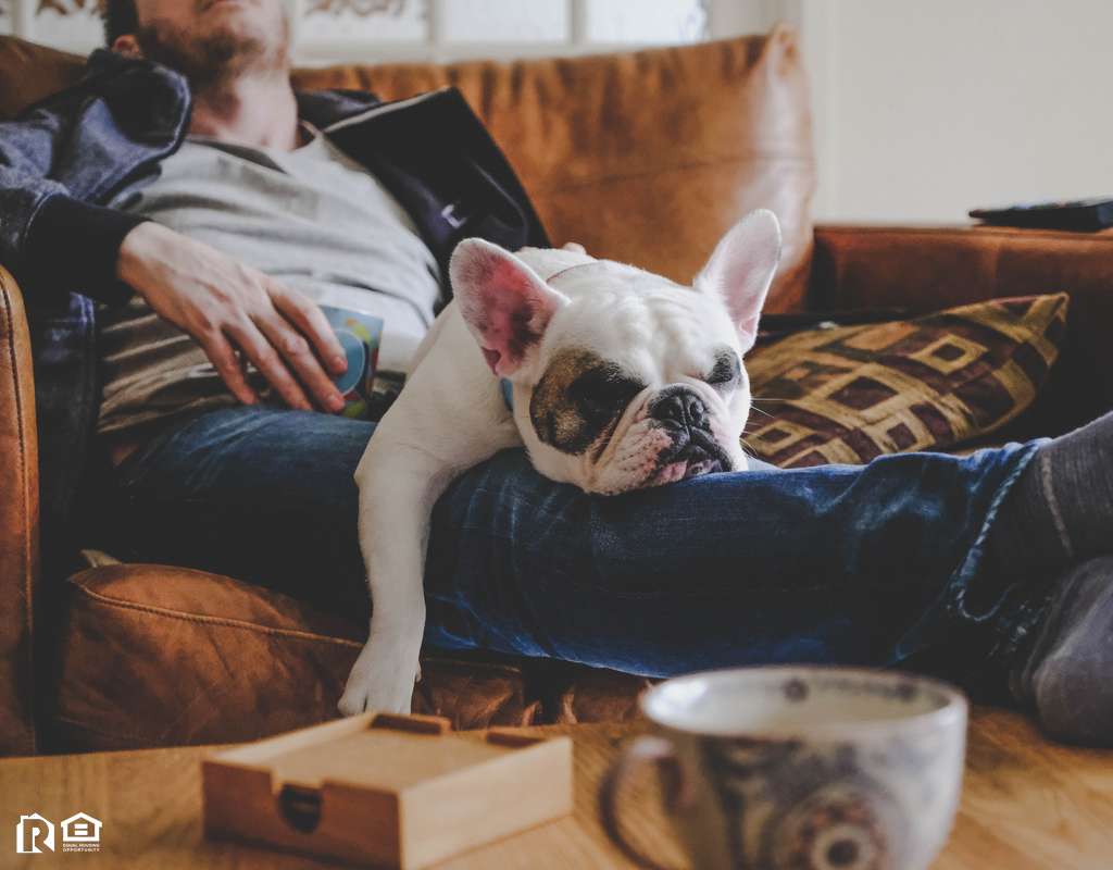 Cedar Park Man with French Bulldog in His Lap