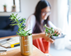 Austin Woman Repurposing Metal Cans for Planters on her Desk