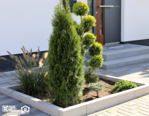 Modern Xeriscaping Design in Front Yard with Trees and Shrubs