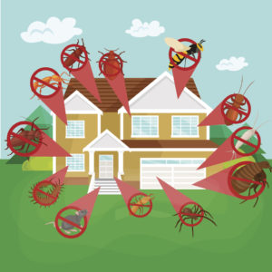 Keeping Your Tampa Rental Property Pest Free