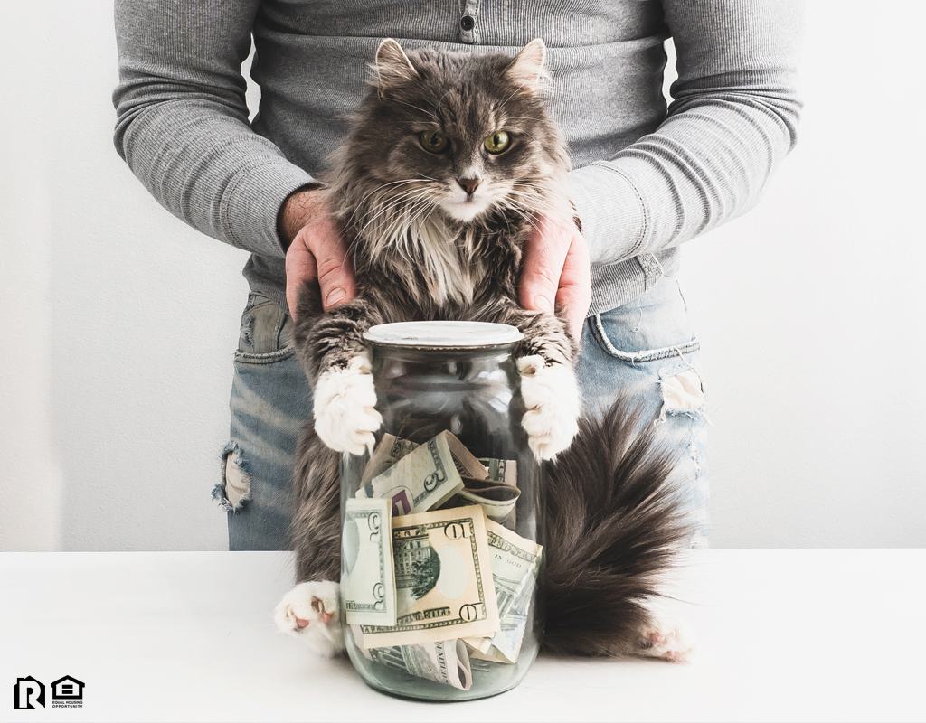 Temple Tenant with a Piggy Bank and a Cute Cat