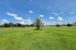 La Marque Texas property management