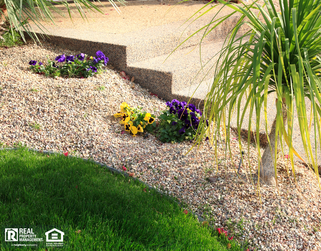 Elkhorn Rental Property with a Xeriscaped Yard