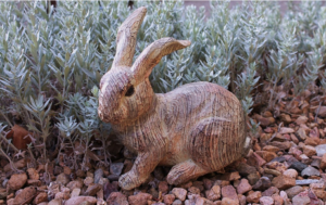 Adorable Wooden Bunny Rabbit Sitting Along the Edges of a Xeriscaped Yard in Elberfeld