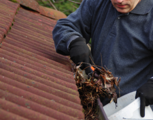 Evansville Rental Property Owner Cleaning the Gutters for Spring Cleaning