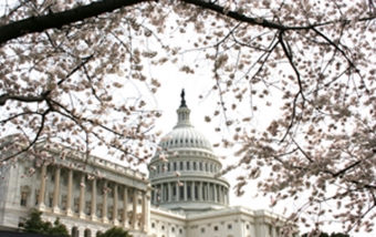 Washington DC Capitol
