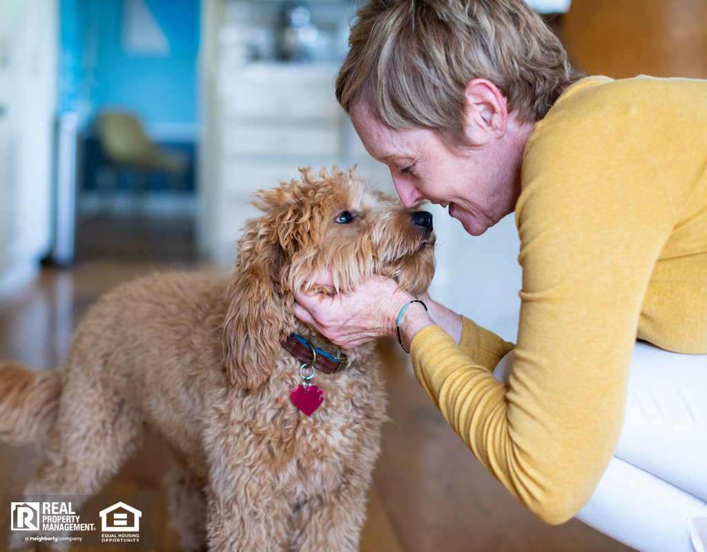 Adams Morgan Tenant Petting Their Emotional Support Dog