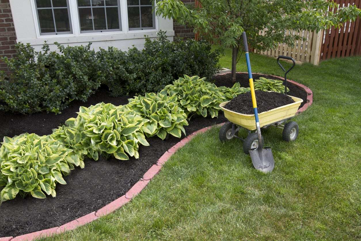 Best Outdoor Plants for Your Waco Property