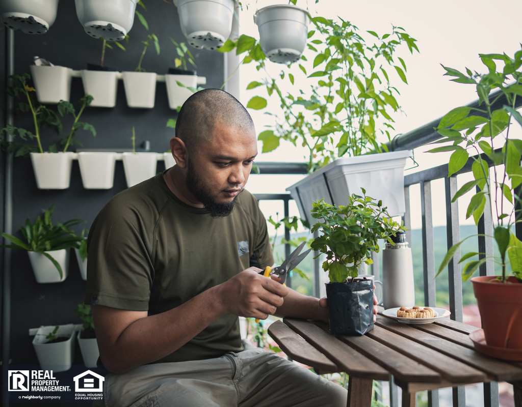 Katy Tenant Tending his Balcony Garden