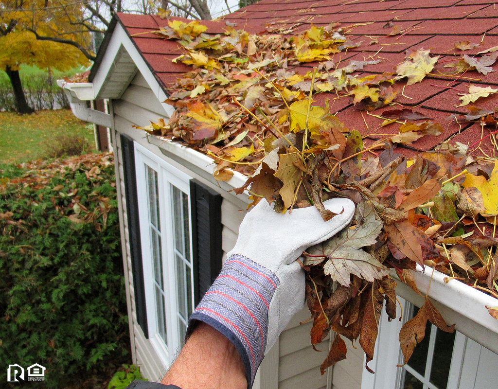 Richardson Rain Gutter Full of Leaves Being Cleaned Out