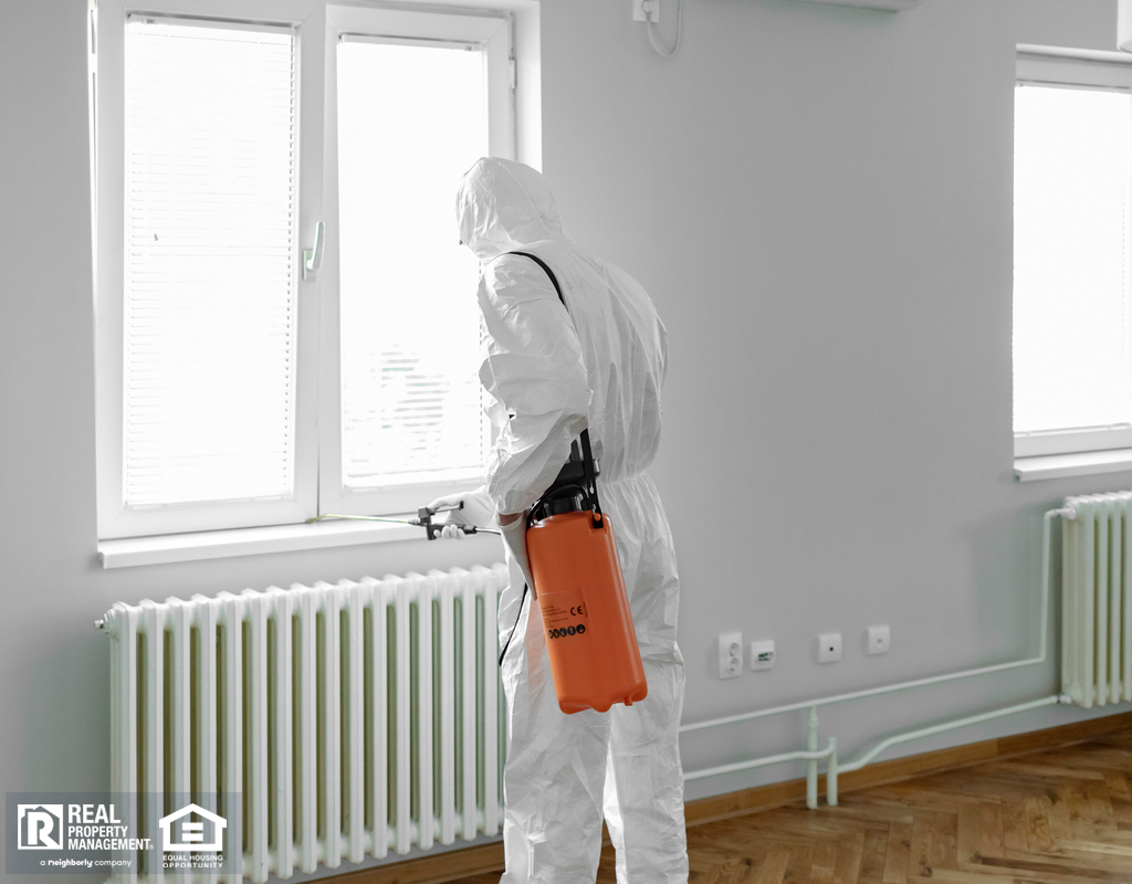Man in Chemical Protection Suit and Face Mask Spraying for Bugs in a House
