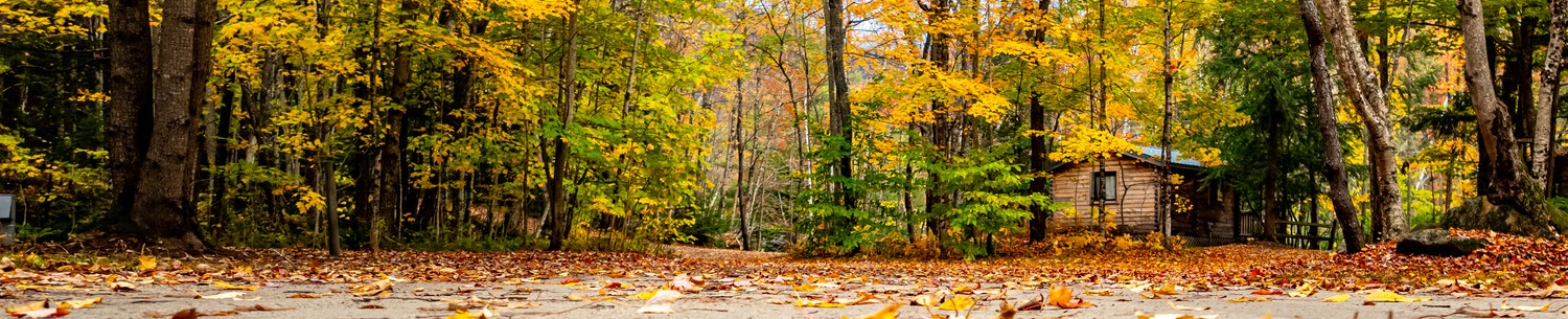 Local introductory image welcoming visitors to Real Property Management Beacon