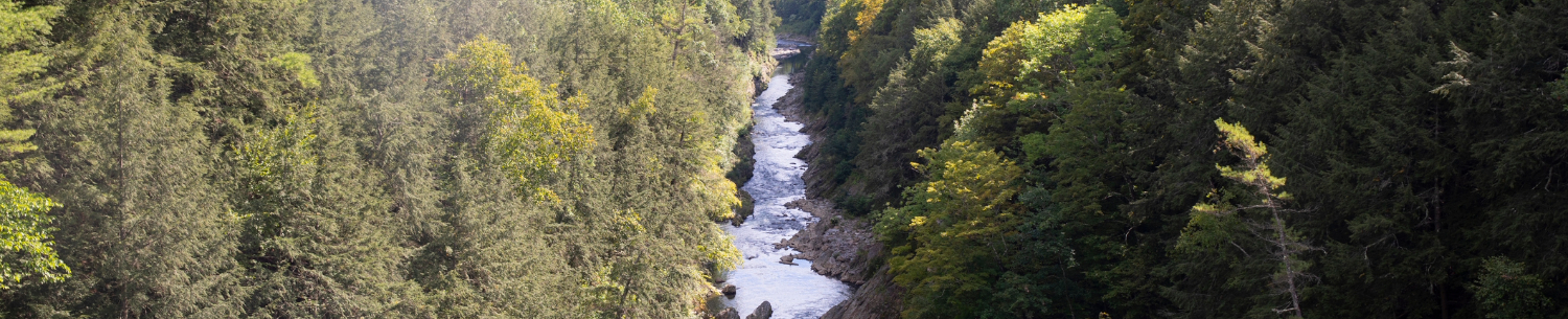 Local introductory image welcoming visitors to Real Property Management Beacon