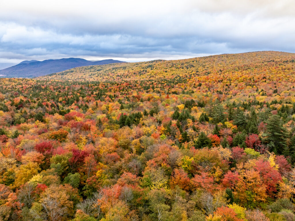 View in North Woodstock, New Hampshire.