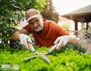 Middle-aged man carefully pruning bushes in his garden using hedge shears.
