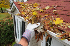 Bar Harbor Rain Gutter Full of Leaves Being Cleaned Out