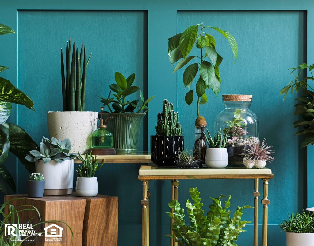 Bar Harbor Living Room Filled with a Beautiful Indoor Garden