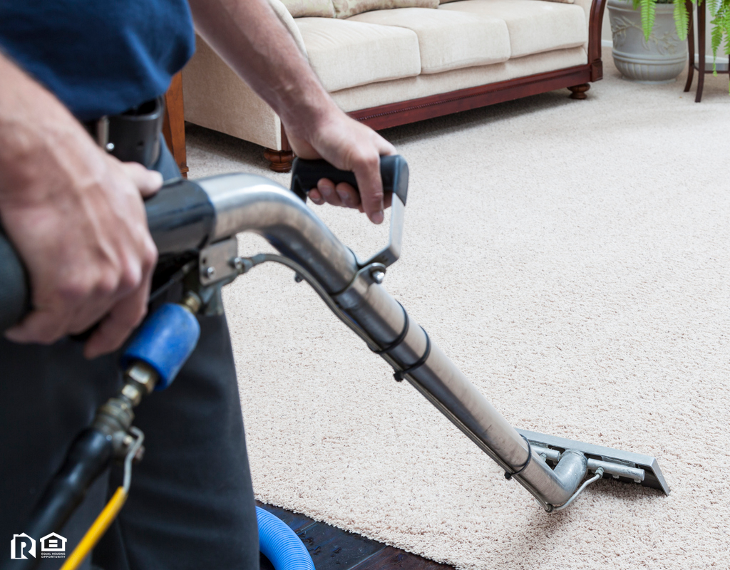 DIY vs Professional Carpet Cleaning What’s the Best Option?
