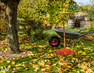 Wheelbarrow and Rake for Fall Yardwork